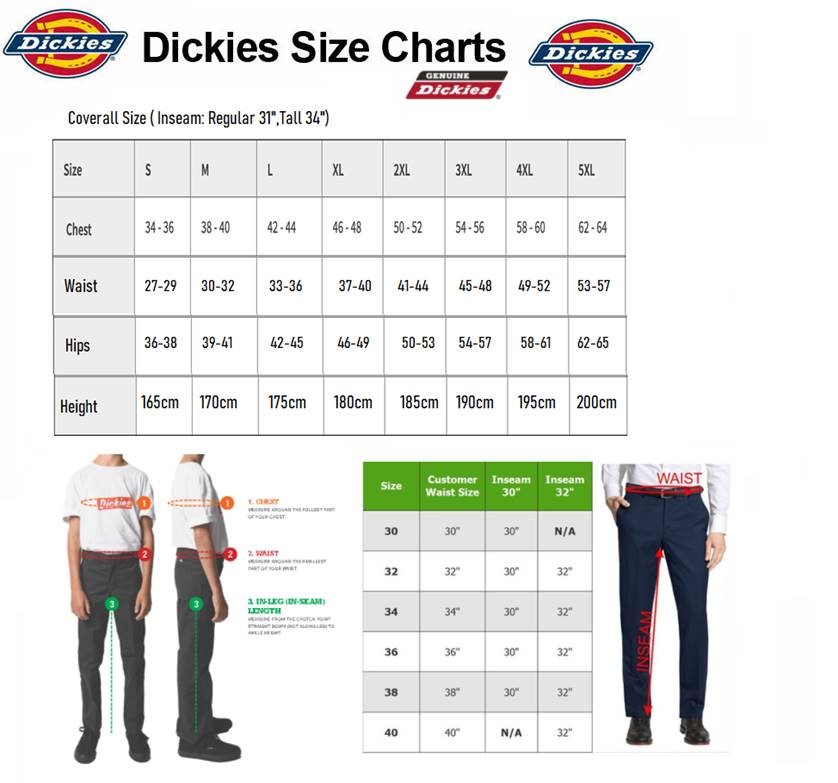 Dickies Big And Size Chart